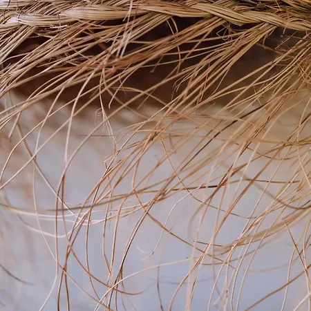 Stodoła Naturalnie - Wyjątkowy Dom Z Balią Na Kaszubach Nad Jeziorem