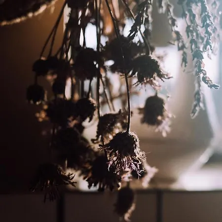 Stodoła Naturalnie - Wyjątkowy Dom Z Balią Na Kaszubach Nad Jeziorem Dom wakacyjny Stare Czaple