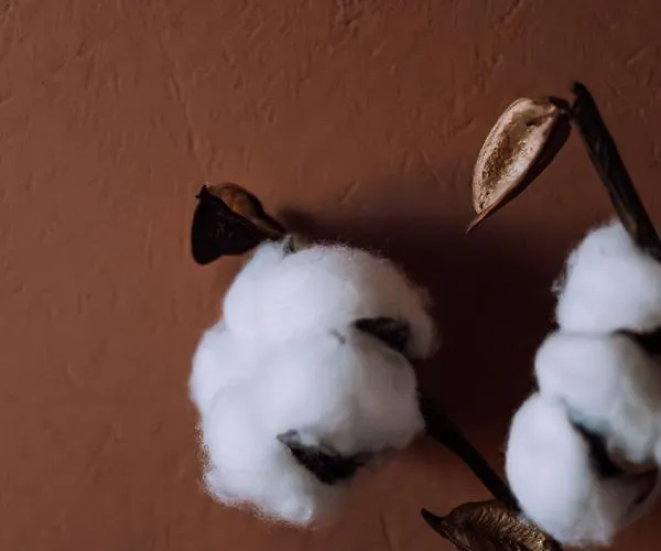 Stodola Naturalnie - Wyjatkowy Dom Z Balia Na Kaszubach Nad Jeziorem Holiday home