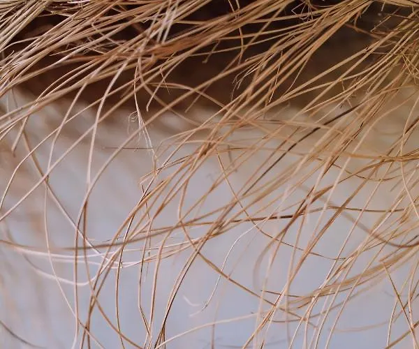 Stodola Naturalnie - Wyjatkowy Dom Z Balia Na Kaszubach Nad Jeziorem