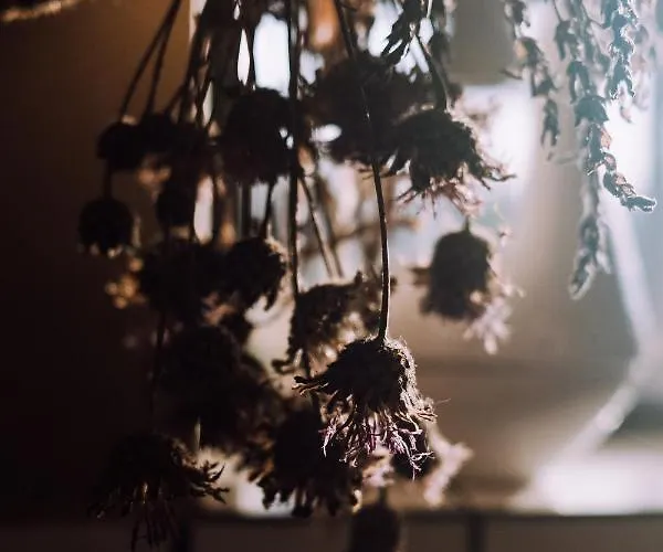 Stodola Naturalnie - Wyjatkowy Dom Z Balia Na Kaszubach Nad Jeziorem Holiday home Stare Czaple