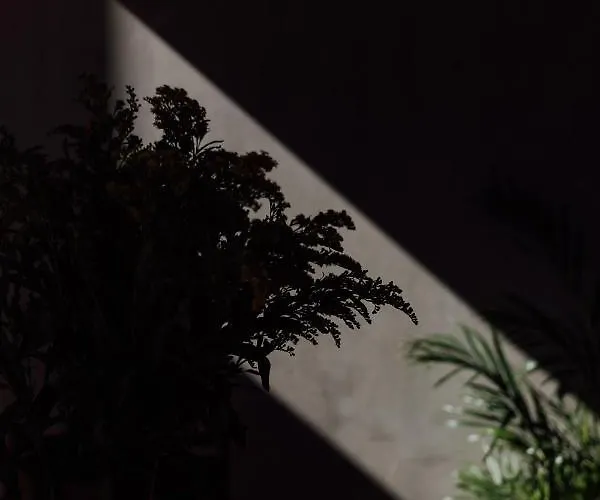 Stodola Naturalnie - Wyjatkowy Dom Z Balia Na Kaszubach Nad Jeziorem Holiday home