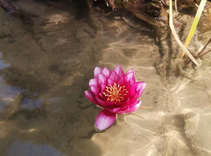Stodola Naturalnie - Wyjatkowy Dom Z Balia Na Kaszubach Nad Jeziorem *